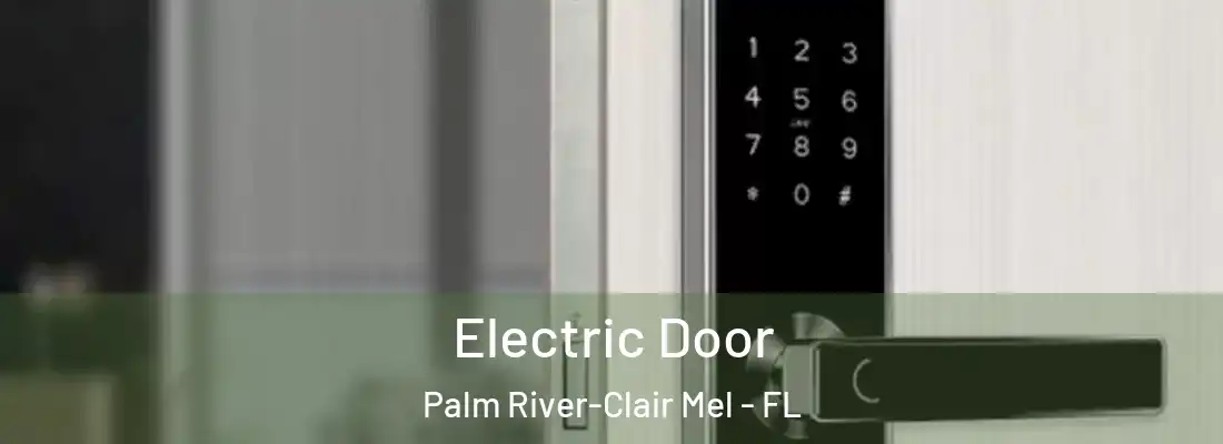  Electric Door Palm River-Clair Mel - FL