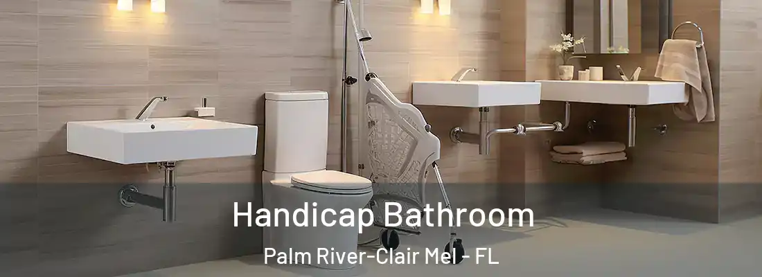  Handicap Bathroom Palm River-Clair Mel - FL