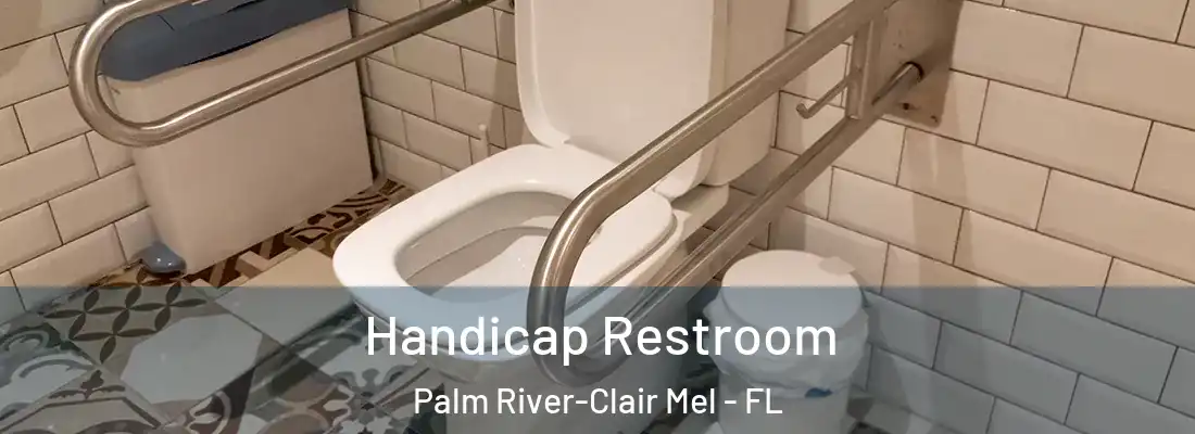  Handicap Restroom Palm River-Clair Mel - FL